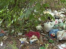 На улице Ульяновской из-за ленивых горожан образовалась свалка