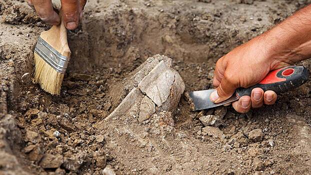 Археологи обнаружили фрагмент деревянного обелиска, которому больше 6000 лет