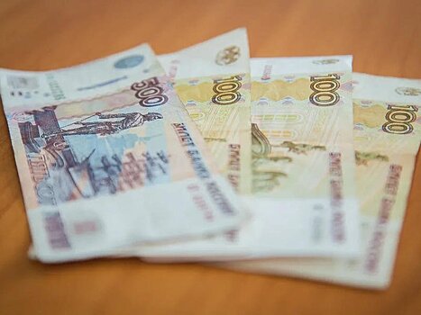 Российской экономики хватит ещё на 2-3 месяца «жёсткого» карантина - ТАСС