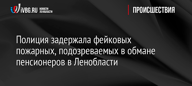 Полиция задержала фейковых пожарных, подозреваемых в обмане пенсионеров в Ленобласти