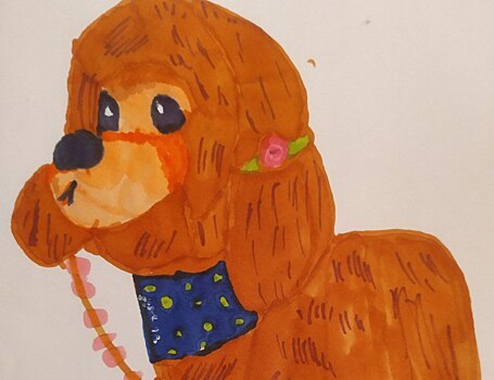 Рисунки нижегородских школьников стали лучшими в конкурсе телеканала «СОЛНЦЕ»