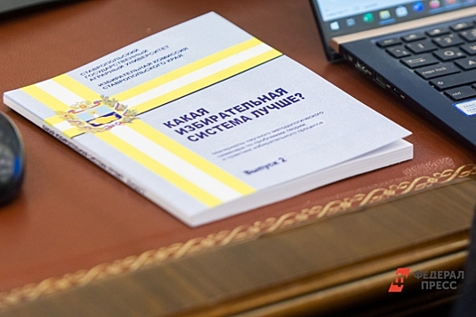 «Страна живет и развивается»: как изменятся выборы в России после новых законодательных поправок