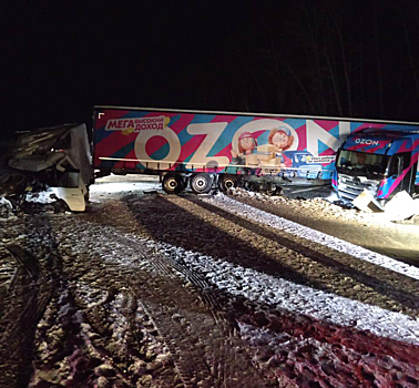 Пятеро погибли и почти 50 пострадали в ДТП в Кузбассе: еженедельная сводка Госавтоинспекции