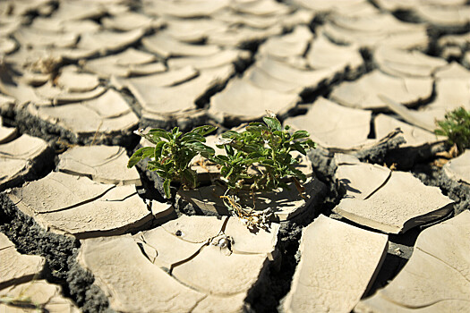 Найден способ снижения выбросов углекислого газа в атмосферу