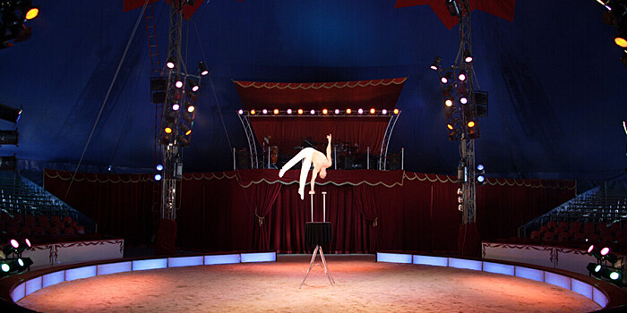 Закон о цирковом искусстве вступил в силу в Туркменистане