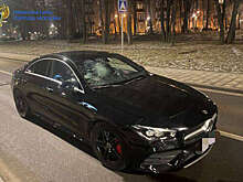 Задержанный за разбитое стекло авто фигуристки сообщил, что его раздражал сигнал