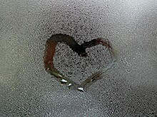 Жена, любовница и муж: что известно о жестоком убийстве женщины на юго-западе Москвы