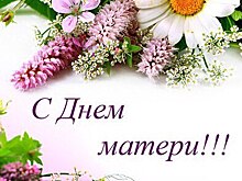 Врио Главы Дагестана Владимир Васильев поздравил всех матерей с Днем Матери