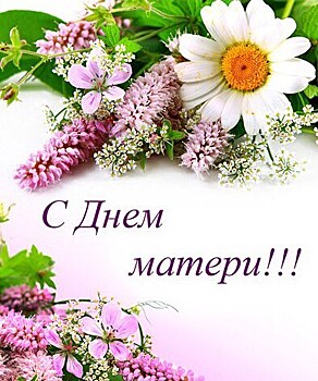 Врио Главы Дагестана Владимир Васильев поздравил всех матерей с Днем Матери