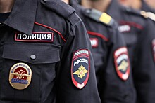 В МВД назвали самые частые преступления, совершаемые в новогодние каникулы в Москве