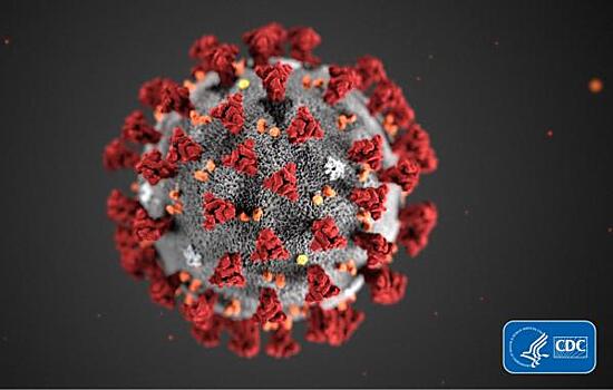 Новосибирские ученые смогут спрогнозировать распространение коронавируса во время второй волны эпидемии