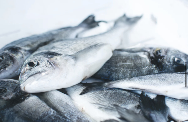 В Поволжье задержали почти 60 тонн возможно опасной рыбы