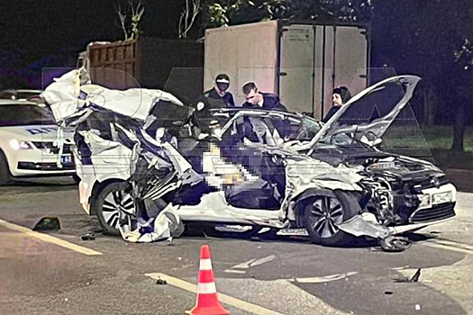 В Воронеже сын высокопоставленной сотрудницы ФНС устроил страшное ДТП