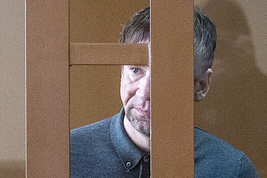Бывший банкир Антонов просит арестовать его земли на Рублевке