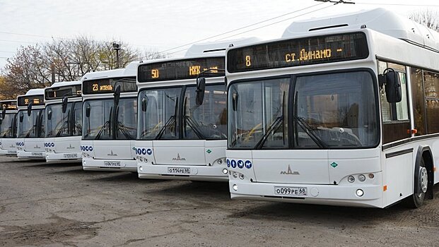 Пассажирский транспорт в Тамбове пополнили новые автобусы