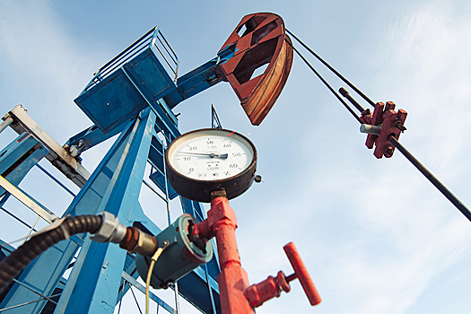 В Госдуме заявили об отсутствии вреда от нефтегазовых санкций