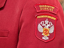 В Волгограде обнаружили жевательную смесь с никотином и сигареты без маркировки