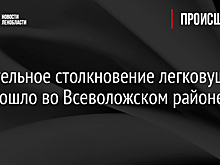 Смертельное столкновение легковушек произошло во Всеволожском районе