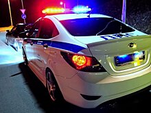 Полиция проверяет видео с ездой по пешеходной улице в центре Москвы