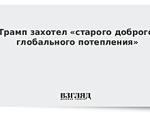 Трамп захотел «старого доброго глобального потепления»