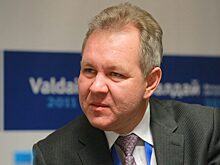 Владислав Иноземцев: «Разумного» процента долларовых сделок существовать не может