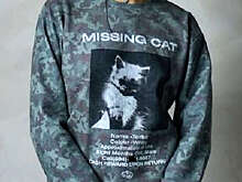 Канадку завалили звонками о несуществующей кошке из-за футболки с ее номером