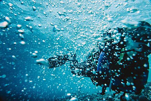 На дне российского залива найден пароход времен войны