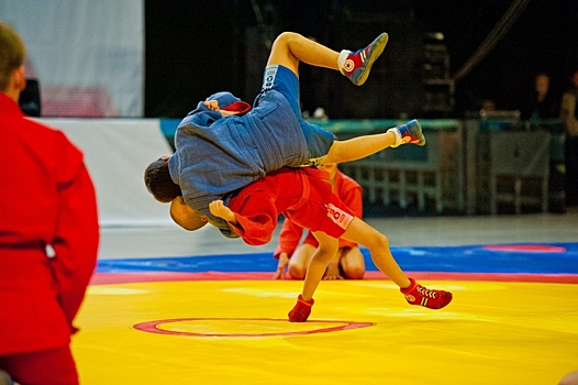 В Волгоградской области прошел семинар по спортивным единоборствам