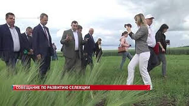Перспективы развития селекции и семеноводства в России обсудили на совещании в Зерноградском районе