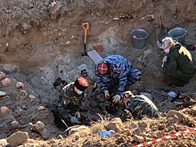 Дети, старики и женщины: в Миллерово нашли &laquo;расстрельную яму&raquo; времен Великой Отечественной войны
