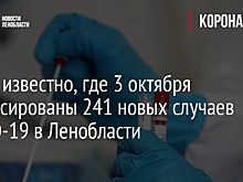Стало известно, где 3 октября зафиксированы 241 новых случаев COVID-19 в Ленобласти