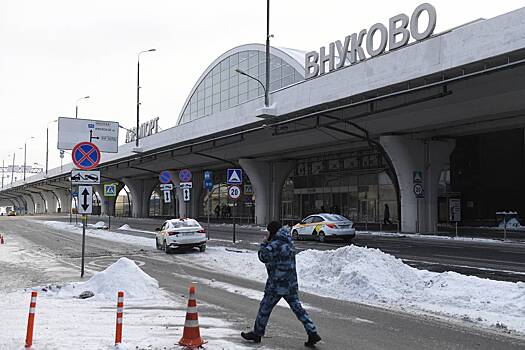Московский аэропорт Внуково ввел план «Ковер»