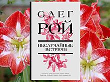 Вышел новый роман Олега Роя «Неслучайные встречи»