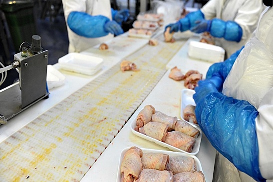 Россия полностью обеспечивает собственную потребность в мясе птицы