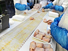 В России серьёзно снизились оптовые цены на курятину и яйца