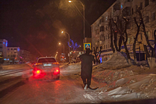 Мышь ростом с человека разгуливала в Кузбассе в новогоднюю ночь