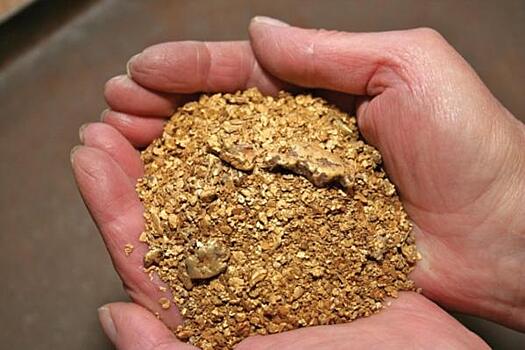 Как холдинг «Полиметалл» загрязняет природу во время добычи золота