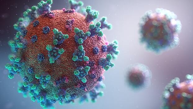 Найден новый опасный коронавирус, неуязвимый для вакцин