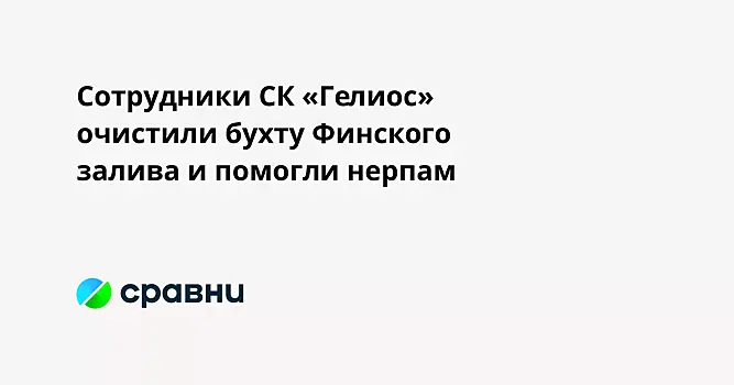 Сотрудники СК «Гелиос» очистили бухту Финского залива и помогли нерпам