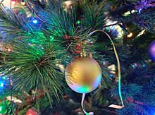 Украшенная елка и имбирное печенье помогут сохранить новогоднее настроение работающим в праздники