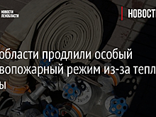 В Ленобласти продлили особый противопожарный режим из-за теплой погоды