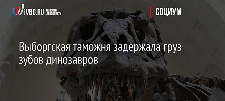 На границе с Финляндией российские таможенники пресекли попытку вывоза зубов динозавров