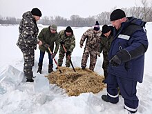 В Оренбуржье спасают рыб от кислородного голодания