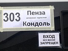 Жители села Кондоль отреагировали на появление маршрутки в Пензу