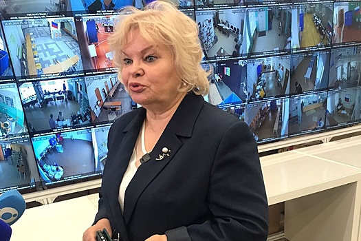 В Новосибирске рассказали о "Золотом стандарте" для наблюдателей на выборах
