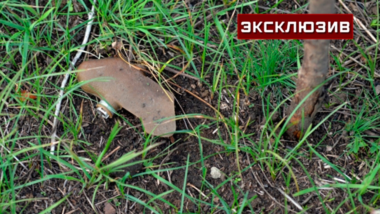 Пять мин «Лепесток» нашел пенсионер в Красногорске на Первомай