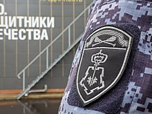 Добровольцев, защищающих границу с Росгвардией, признают ветеранами боевых действий