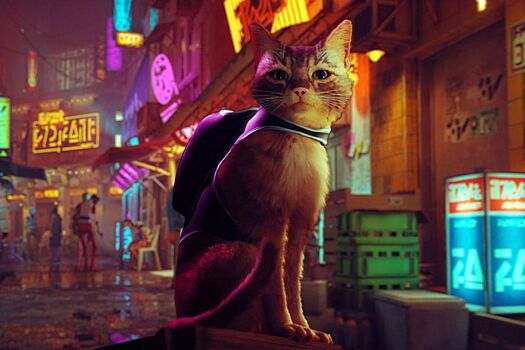 Игра про котика Stray «захватывает» Британию