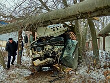 Молоковоз врезался в дерево в Приокском районе (ФОТО)