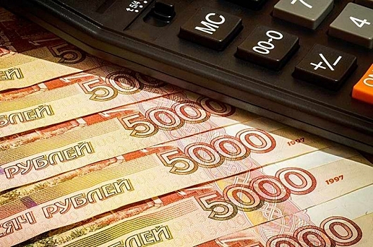 Евгений Савченко: экономия на торгах — один из источников покрытия бюджетного дефицита
